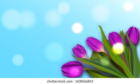 Hello May spring tulip banner. Cute bouquet colorful banner. Womans nice background.