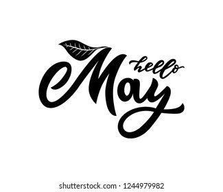 Hello May text.Handwritten lettering. Isolated phrase.Template of inscription for calendar, poster, banner, advertising, label, invitations, greeting cards. graphic design typography element. Vector