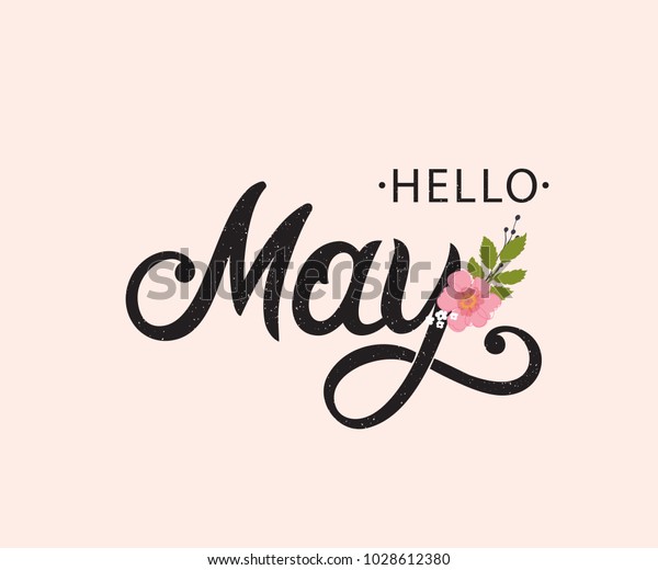 Hello May typography\
vector design for greeting cards and poster. Hand lettering text\
isolated on pink background. Design template celebration. Vector\
illustration.
