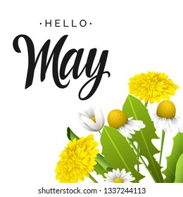 Hello may vector lettering. Dandelions and daisy flowers. Hand written design element for card, poster. Modern calligraphy for spring design. Floral design elements.