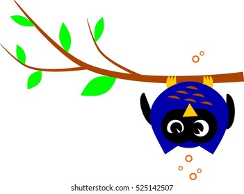 Hello. Meet Bob, the drunken owl. Today he found himself under the limb somehow. He's not feeling well.