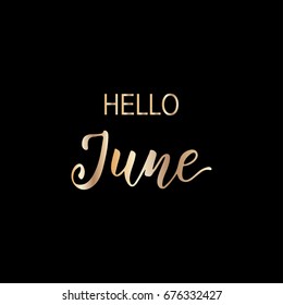 Hello month, hand drawn brush calligraphy isolated on white. Vector illustration for design calendar 2018, greeting card, planner, organizer, invitation.Handwritten names of months. Lettering design.