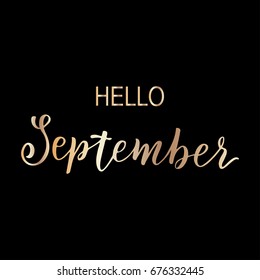 Hello month, hand drawn brush calligraphy isolated on white. Vector illustration for design calendar 2018, greeting card, planner, organizer, invitation.Handwritten names of months. Lettering design.