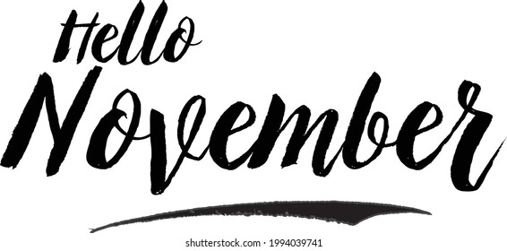Hello November Calligraphy Black Color Text On White Background