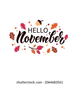 Hello November handwritten text isolated on white background. Vector illustration for banner, card, calendar, poster, postcard, advertising. Modern brush calligraphy, hand lettering typography