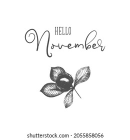 Hello November vector chestnut template hand drawing, design for banner, greeting card or print.