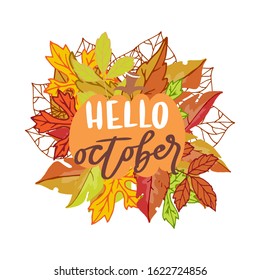 Hello october banner with bright autumn birch, elm, oak, rowan and maple leaves with lettering vector illustration. Autumn cartoon colorful leaves poster.