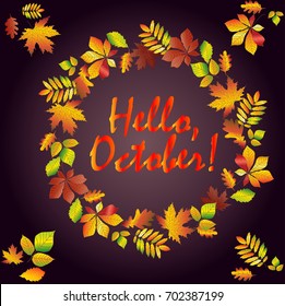 Hello, October. Multicolored text in a frame made from autumn maple leaves, oak, chestnut, etc. Postcard, background.