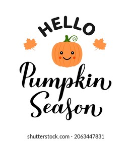 Hello pumpkin season calligraphy lettering. Handwritten fall quote. Vector template for typography poster, banner, flyer, postcard, sticker, logo design, etc.