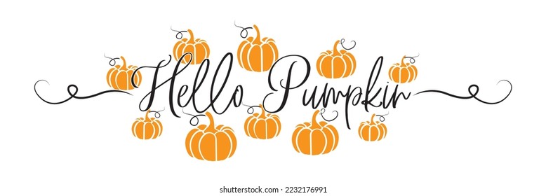 Hello Pumpkin, vector. Autumn wording design with pumpkin illustration isolated on white background.   