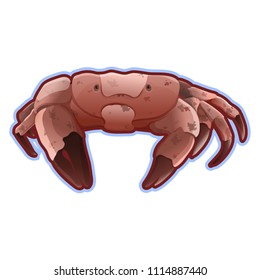 Hello sea cartoon badge with trendy design cartoon cheerful red crab mascot. Summer and sea party motivation poster. Vector illustration. eps10