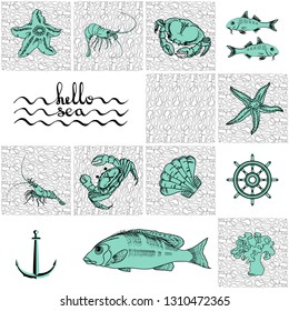 Hello sea. Vector card with handwritten text and various sea creatures. Hand drawing  fish, crab, squid, anchor octopus and starfish. Marine-themed design elements on white background.