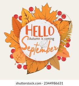 hello september autumn is coming  wreath of yellow leaves and rowan berries