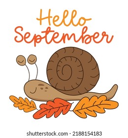 Hello September - Autumnal greeting with cute hand drawn snail and leaves.