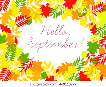 Hello September, bright frame of autumn leaves with text, print for posters, banners, greeting cards, save the date, vector EPS 8