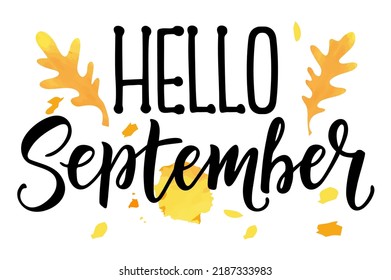 Hello September calligraphy. Hello Autumn greeting card. Hand-drawn illustration. Modern vector calligraphy phrase. Positive quote for your design. Black ink with brush on white isolated background 