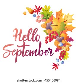 Hello september colorful greeting card with calligraphy text, leaves and berries. Isolated on white background.