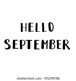 Hello september hand drawn paint brush text calligraphy for greeting card on white background. Vector trendy creative wish font for poster design. Handwritten brush. Monochrome vector illustration.