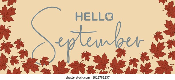 hello september lettering with maple leaf and autumn color. banner design fall season vector design illustration