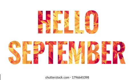 Hello september lettering. Retro vector letters (caps) with various autumn leaves pattern. Maple, oak, mountain ash, rowan, hawthorn. Poster, card, banner, brochure, tag, stories, web vintage design