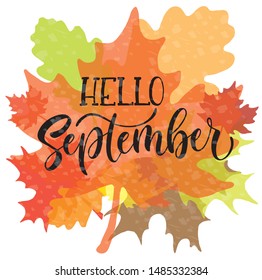 Hello September lettering typography. Modern september calligraphy. Vector illustration on textured background 