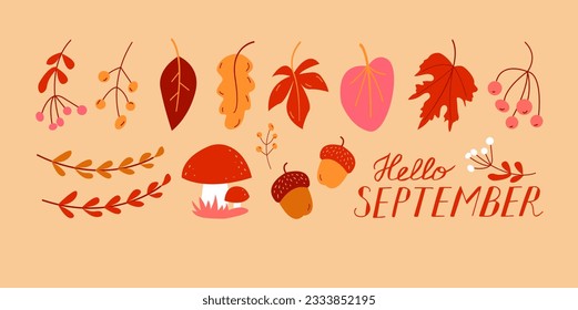 Hello September. SEPTEMBER month vector with leaves, berries, acorn and mushrooms. Decoration autumn text hand lettering. Illustration month September