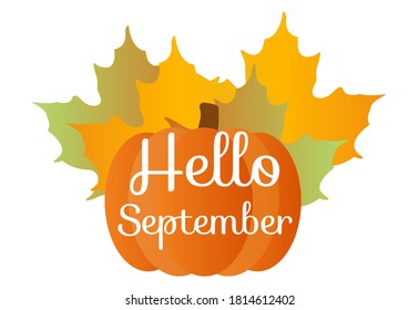 Hello September quote with pumpkin and orange maple leafes isolated illustration