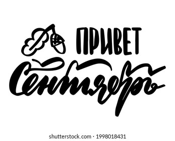 Hello september russian text, hand written custom cyrillic calligraphy isolated on white. Lettering for media, posters and cards. Season phrase text vector acorn decor. EPS 10