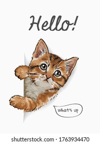 hello slogan with cute cat coming out of paper illustration