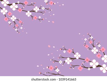 Hello spring, spring background