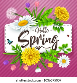 Hello Spring background with beautiful flower and insects on striped purple background