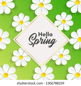 Hello Spring background with camomile flowers