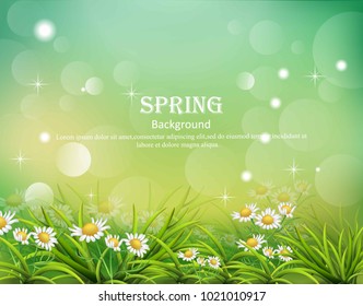 Hello spring background with chamomile flowers Vector