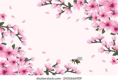 hello spring background with cheery blossom flowers. vector illustration