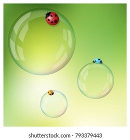 Hello Spring background with colorful ladybugs on soap bubbles , vector , illustration