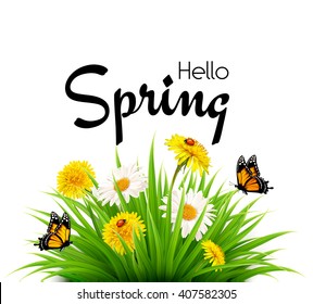 Hello Spring background with dandelions, daisies and butterflies. Vector.