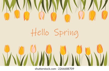 Hello spring background. Spring design template. Hello spring text with white label and pink tulip flowers. Vector stock illustration