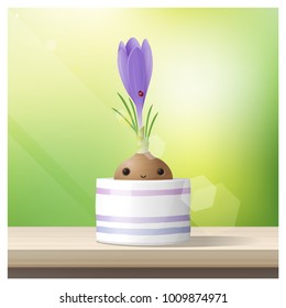 Hello Spring background with Spring flower Crocus growing in a pot on wooden table top , vector , illustration