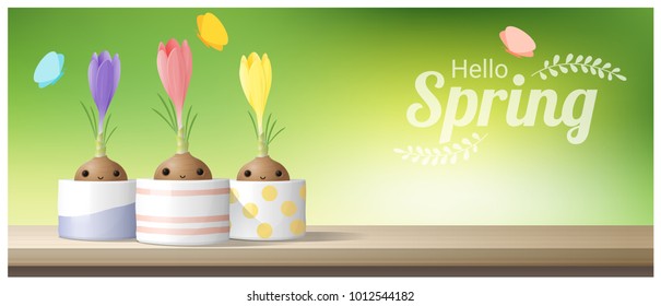 Hello Spring background with Spring flower Crocuses on wooden table top , vector , illustration