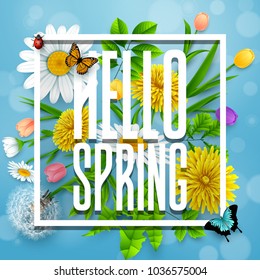 Hello Spring background with flower and insects on blue sky background