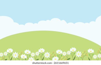 Hello spring background flower sky blue and beautiful grass