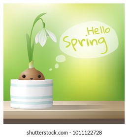 Hello Spring background with Spring flower Snowdrop growing in a pot on wooden table top , vector , illustration