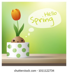 Hello Spring background with Spring flower Tulip growing in a pot on wooden table top , vector , illustration