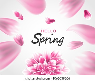 Hello spring background. Flowers petals. flying petals on white background . light and shadow . Vector.
