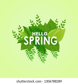 Hello Spring background with green leaves