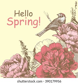Hello Spring Background with peony and bird. Vector eps 10 format.
