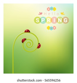 Hello spring background with red ladybugs , vector , illustration