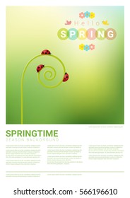 Hello spring background with red ladybugs , vector , illustration