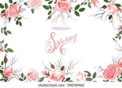 Hello Spring Background with Roses. Hand Drawn Lettering.