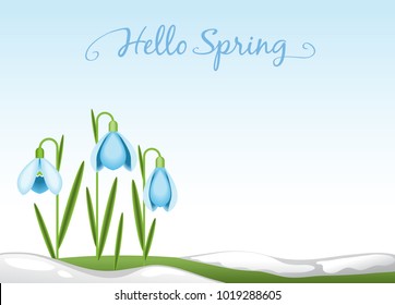 Hello spring background. Vector snowdrops, spring landscape